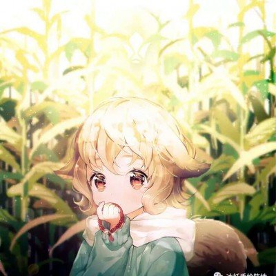 罗曼蒂克消亡史